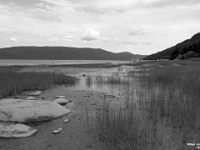 12040CrBwLeSh - Low tide, walking along the Saguenay River, L'Anse-Saint-Jean   Each New Day A Miracle  [  Understanding the Bible   |   Poetry   |   Story  ]- by Pete Rhebergen